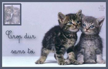 pour mon chérie